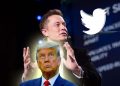 Twitter atualiza Termos de Serviço e Política de Privacidade e pode acabar com banimento de Trump