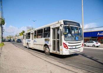 Lauro de Freitas terá transporte gratuito de volta para o público durante o Pedrão