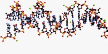 USP desenvolve tecnologia com nanopartículas que promete revolucionar tratamento de psoríase e vitiligo