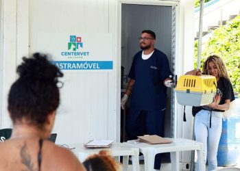 Prefeitura de Salvador investe R$ 2,4 milhões em edital para castração de cães e gatos em situação de rua