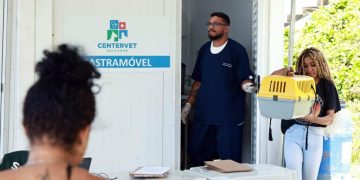 Prefeitura de Salvador investe R$ 2,4 milhões em edital para castração de cães e gatos em situação de rua