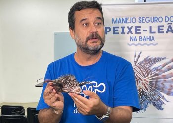 Avanço do peixe-leão na Bahia mobiliza gestão municipal e pescadores; veja orientações para banhistas