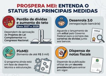 Pix MEI: Lula lança pacote ˜Prospera MEI˜ com anistia de dívidas tributárias e fomento de R$ 5 mil