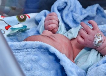 Maternidade e Hospital da Criança de Salvador completa seis meses com mil partos e expansão de atendimentos